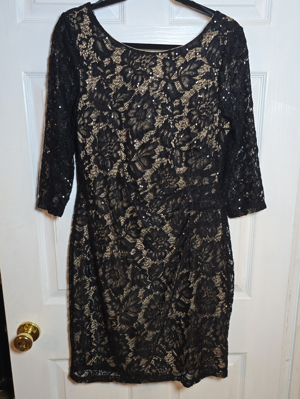 Scarlett Black Lace Dress with Nude Lining — Long Sleeve Size 10 - Picture 4 of 5